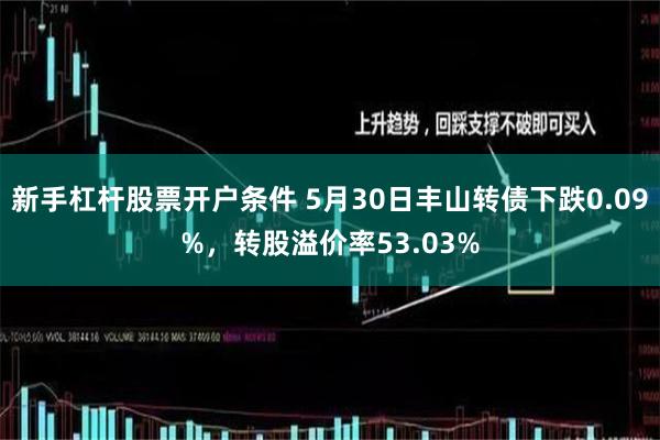 新手杠杆股票开户条件 5月30日丰山转债下跌0.09%，转股溢价率53.03%