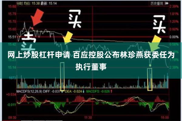 网上炒股杠杆申请 百应控股公布林珍燕获委任为执行董事