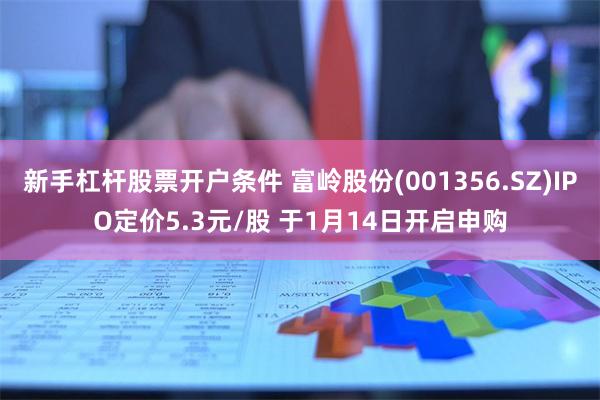新手杠杆股票开户条件 富岭股份(001356.SZ)IPO定价5.3元/股 于1月14日开启申购