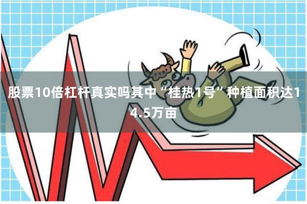 股票10倍杠杆真实吗其中“桂热1号”种植面积达14.5万亩