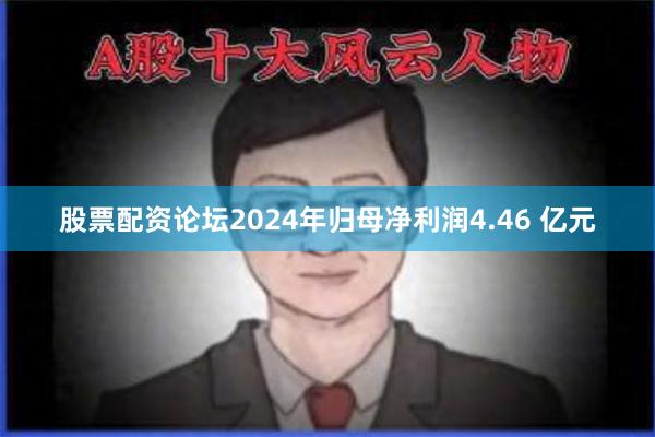 股票配资论坛2024年归母净利润4.46 亿元