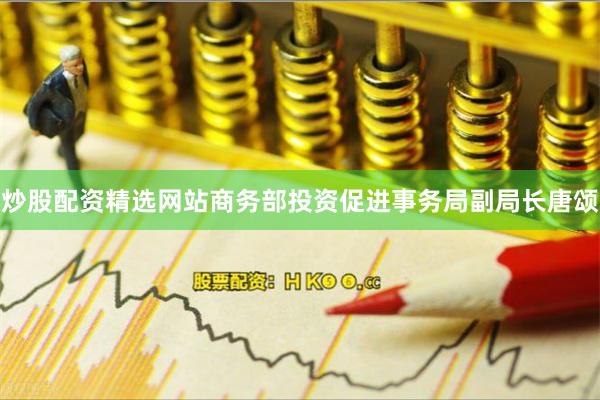 炒股配资精选网站商务部投资促进事务局副局长唐颂