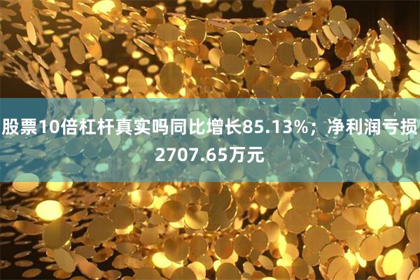 股票10倍杠杆真实吗同比增长85.13%；净利润亏损2707.65万元